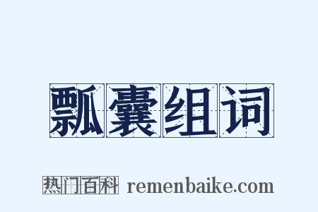 瓢囊组词是什么意思的图片